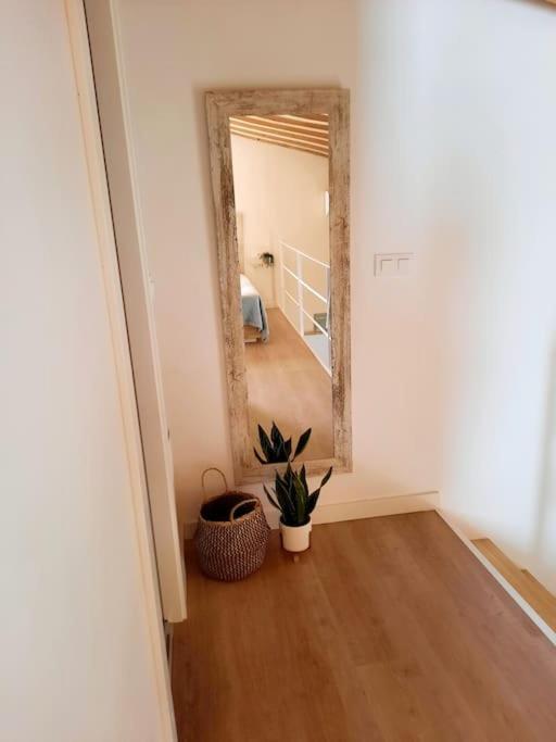 Loft Centrico Con Patio Bodega San Javier Apartment Херес де ла Фронтера Екстериор снимка